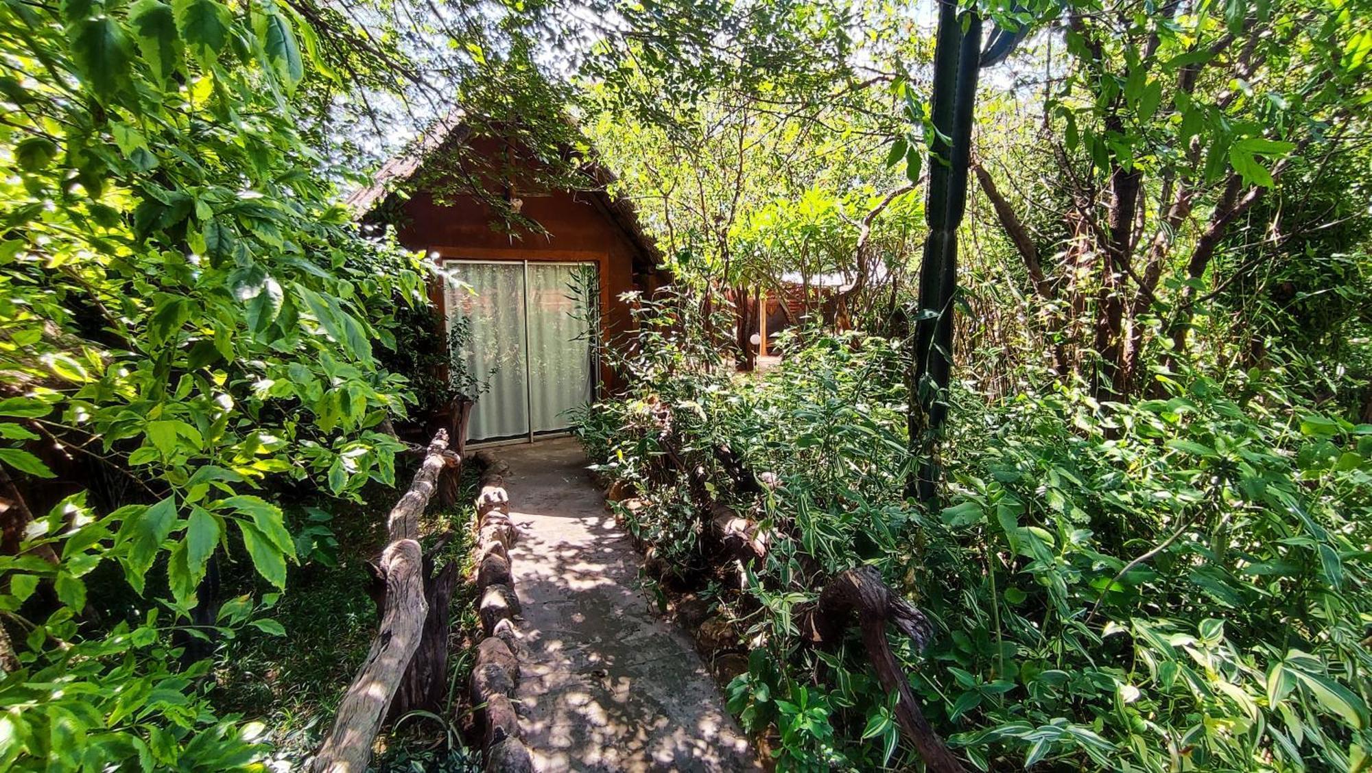 Elephant Trail Guesthouse And Backpackers Kasane Exterior foto