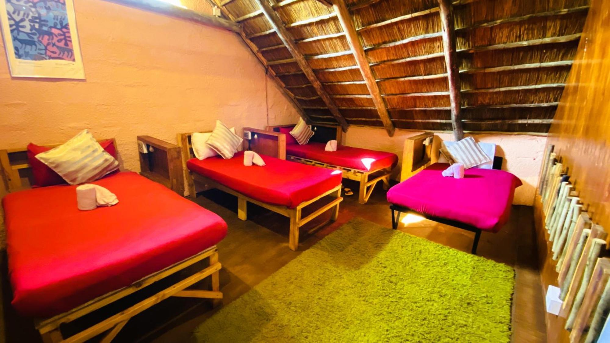 Elephant Trail Guesthouse And Backpackers Kasane Zimmer foto