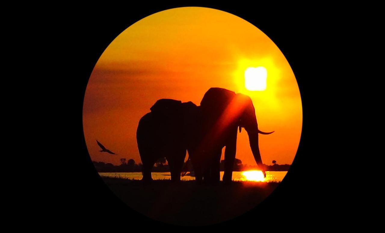 Elephant Trail Guesthouse And Backpackers Kasane Exterior foto